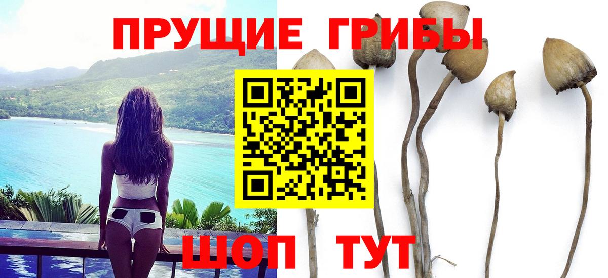 Галлюциногенные грибы мухоморы  Вход с VPN  Белогорск  Галлюциногенные грибы MAGIC MUSHROOMS 