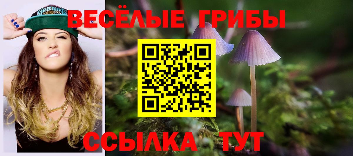 Псилоцибиновые грибы GOLDEN TEACHER Белогорск
